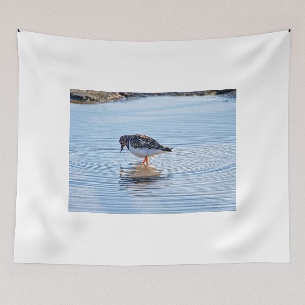 Item preview, Turnstone At The Harbour designed and sold by Dorset Girl.