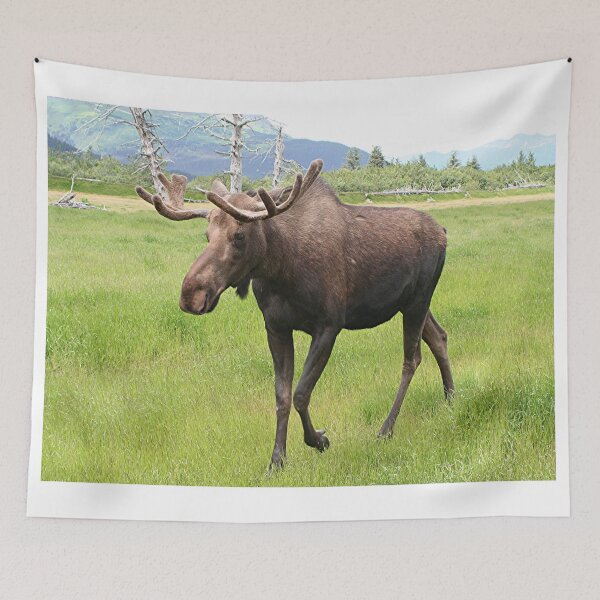 Item preview, Alaskan moose  designed and sold by FranWest.