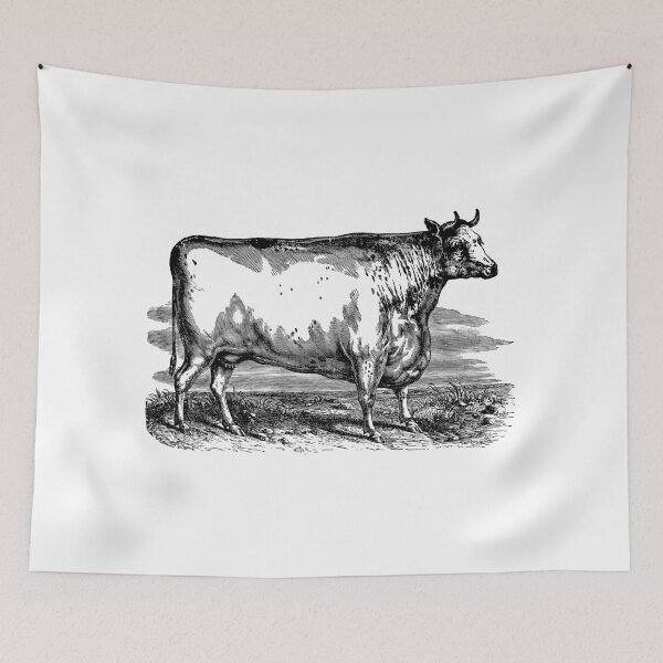 Item preview, Vintage Durham Bull Cow Illustration Retro 1800s Black and White Cows Image designed and sold by SilverSpiral.