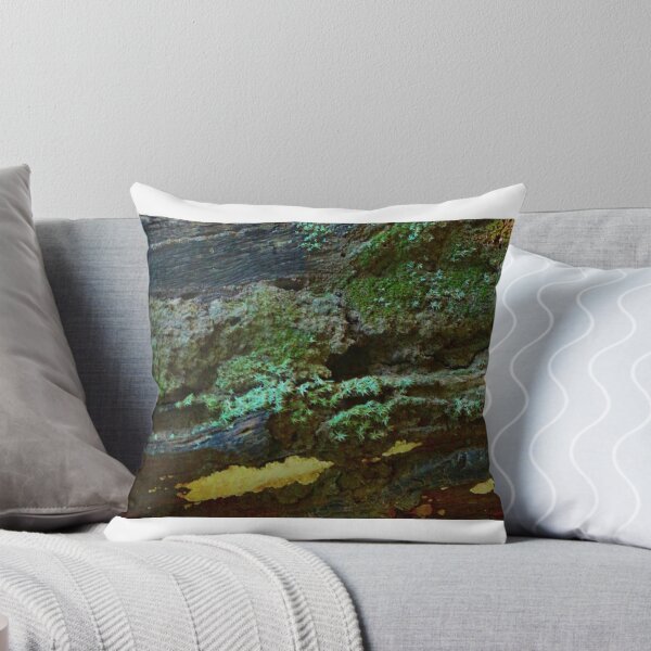 Item preview, Colourful Lichen on a Fallen Log designed and sold by myraj.