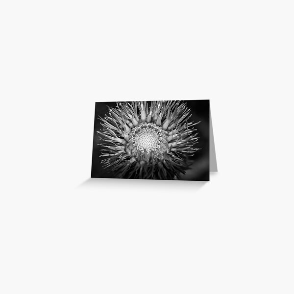 from the bottom Greeting Card