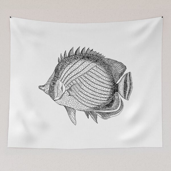 Item preview, Vintage Marine Wandering Chaetodon Fish Illustration Retro 1800s Black and White Image designed and sold by SilverSpiral.
