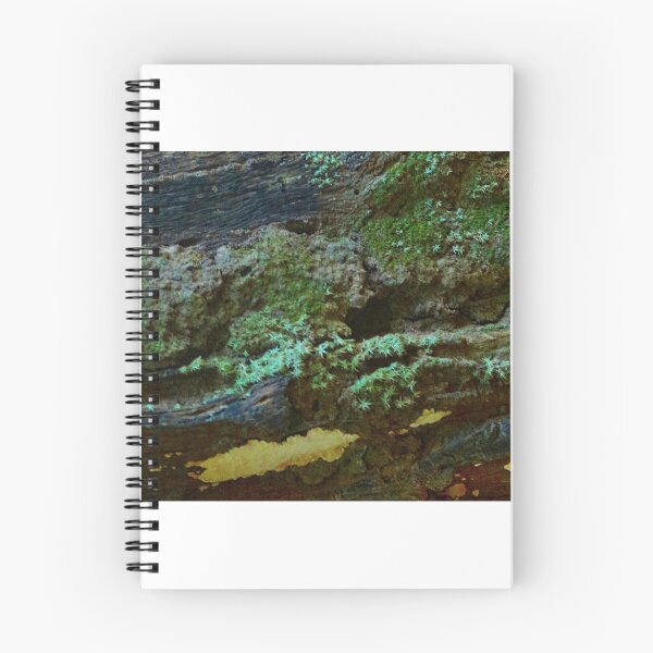 Item preview, Colourful Lichen on a Fallen Log designed and sold by myraj.