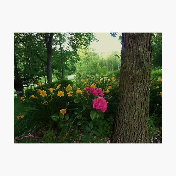 Item preview, Peaceful Day in the Yard designed and sold by Mary Kaderabek-Aleckson.