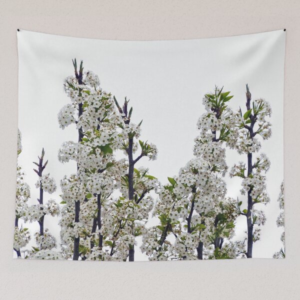 Item preview, Bradford Pear Blossoms designed and sold by Frankie Cat Photography.