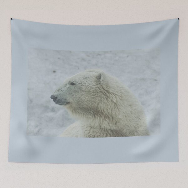 Item preview, Polar bear designed and sold by Martin Leber.