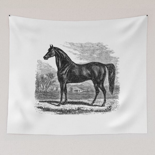 Item preview, Vintage Horse Illustration Farm Retro 1800s Black and White Image designed and sold by SilverSpiral.