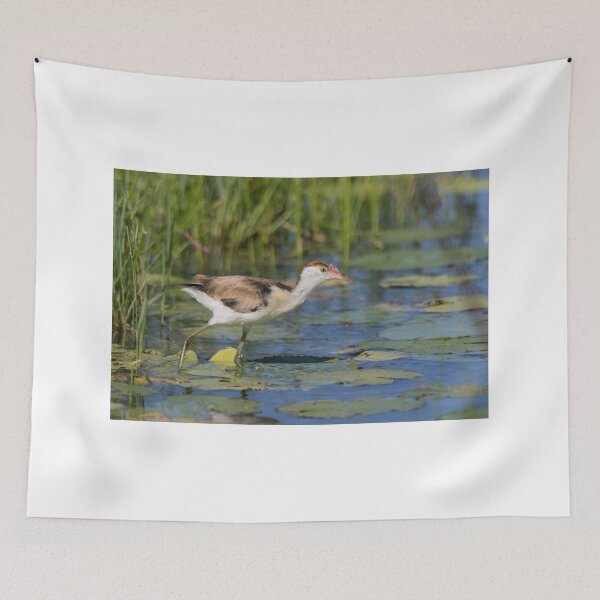 Item preview, Young Lotusbird designed and sold by byronbackyard.
