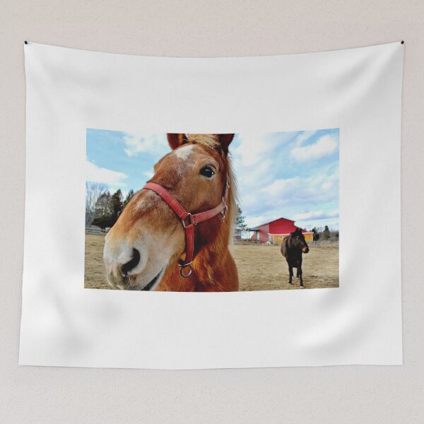 Item preview, The Greeter  designed and sold by Kathleen Daley.