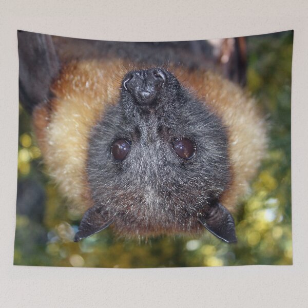 Item preview, Walter designed and sold by Janine Davies.