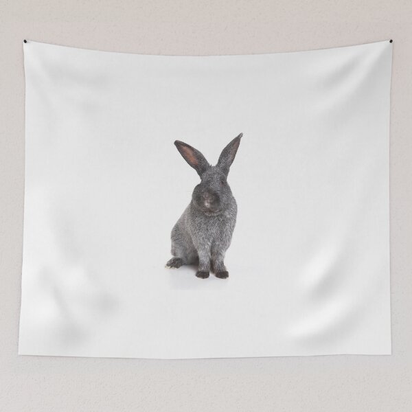 Aperçu de l'œuvre Drôle de lapin gris poilu créée et vendue par utekhina.