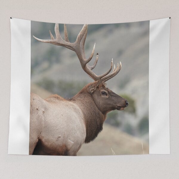 Item preview, Bull Elk designed and sold by WorldDesign.