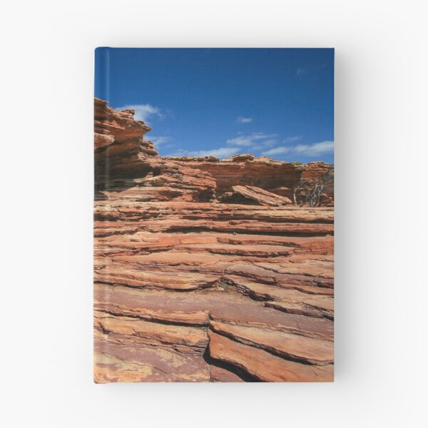 Item preview, Nature's Window designed and sold by scottimage.