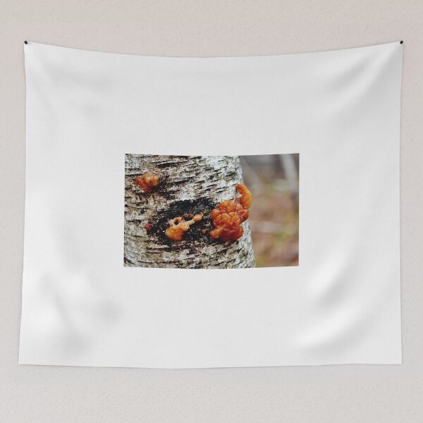 Item preview, Unidentified designed and sold by Kathleen Daley.