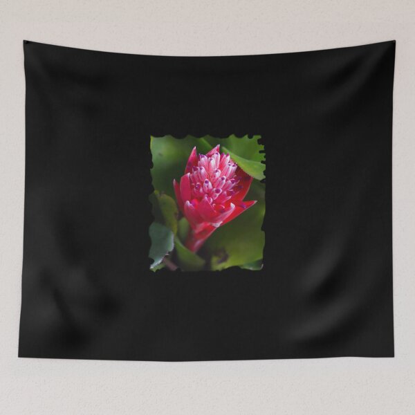 Item preview, Blossoming Bromeliad designed and sold by RGKphotos.