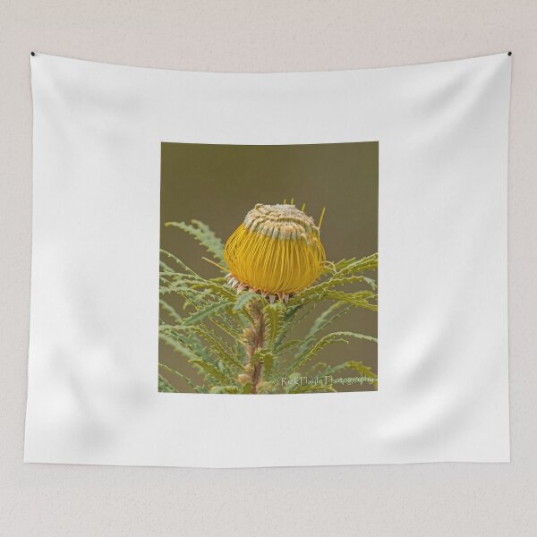 Item preview, Dryandra stuposa  designed and sold by Rick Playle.