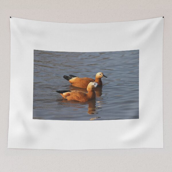 Item preview, Ruddy Shelducks designed and sold by Yampimon.