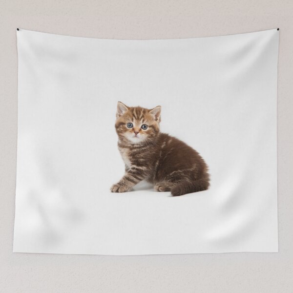 Item preview, Fluffy little tabby kitten British cat designed and sold by utekhina.
