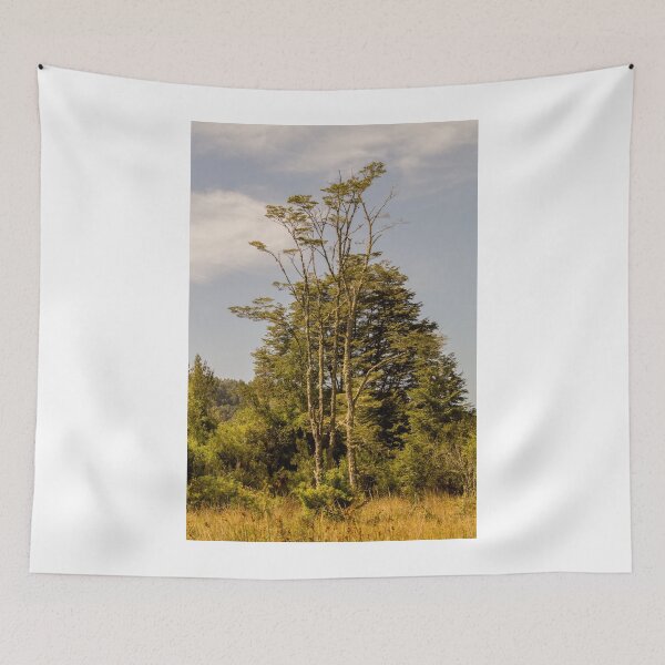Item preview, 32316 young oaks designed and sold by pcfyi.