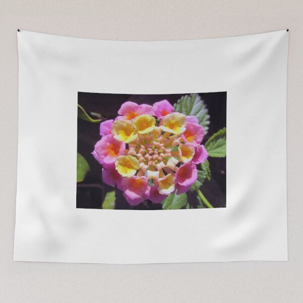 Item preview, Hidden Gem designed and sold by MyWeb.