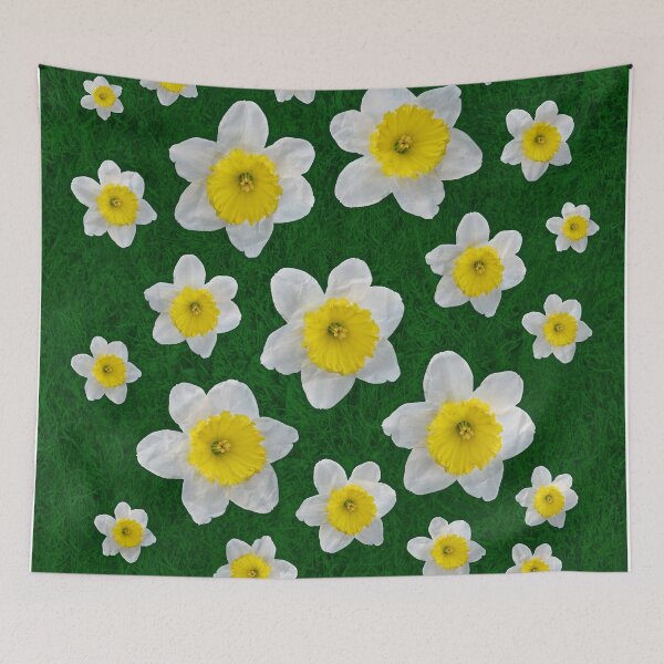 Item preview, Spring Daffodils designed and sold by Frankie Cat Photography.