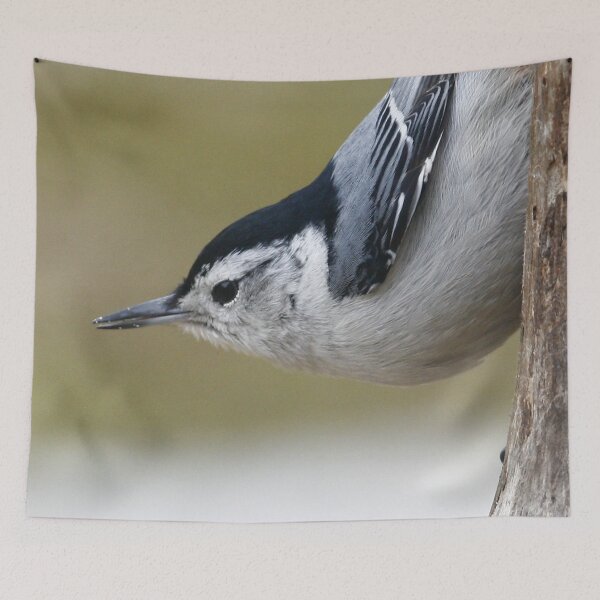 Item preview, Nuthatch designed and sold by Enola Gay Wagner.