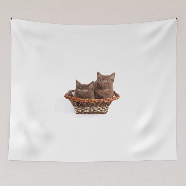 Item preview, Brown soft fluffy kitten designed and sold by utekhina.