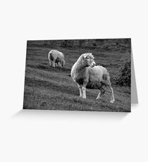 Guard Greeting Card
