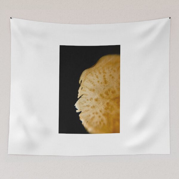 Item preview, Find the Root designed and sold by rachelcphotoart.