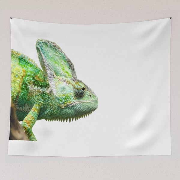 Item preview, Exotic Reptile designed and sold by Sven19864.