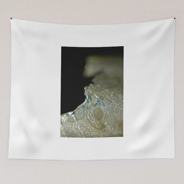 Item preview, Cucumber Wave  designed and sold by rachelcphotoart.