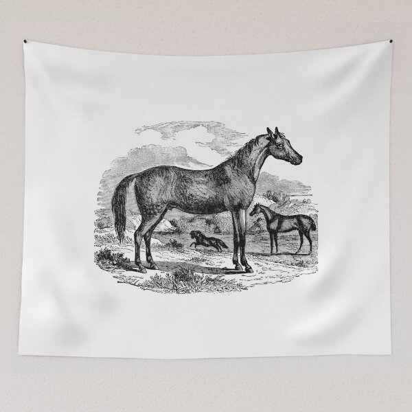 Item preview, Ilustración de caballo árabe vintage Retro 1800 ecuestre imagen en blanco y negro designed and sold by SilverSpiral.