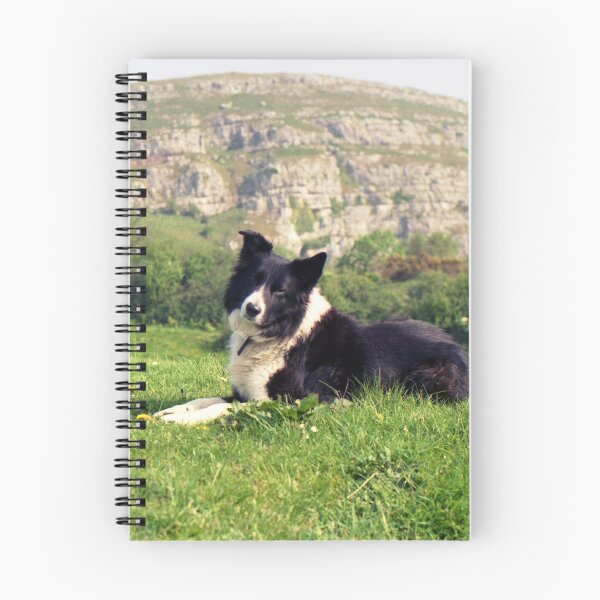 Item preview, Indy on the Orme! designed and sold by Michael Haslam.