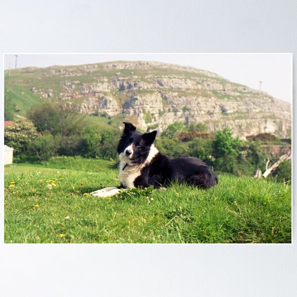 Item preview, Indy on the Orme! designed and sold by Michael Haslam.