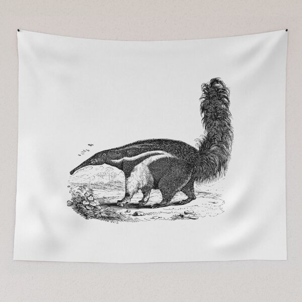 Item preview, Vintage Anteater Illustration Retro 1800s Imagen en blanco y negro designed and sold by SilverSpiral.