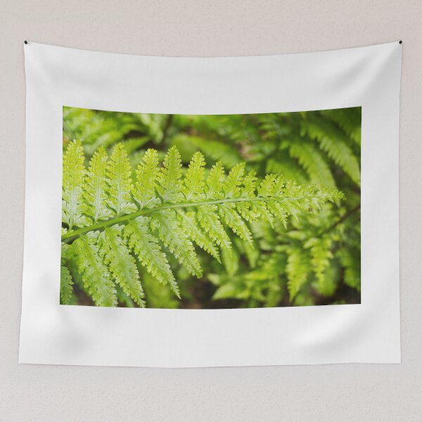 Item preview, fern designed and sold by Anne Scantlebury.