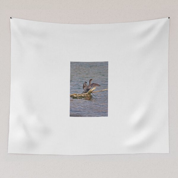 Item preview, Cormorant designed and sold by Mark Bangert.