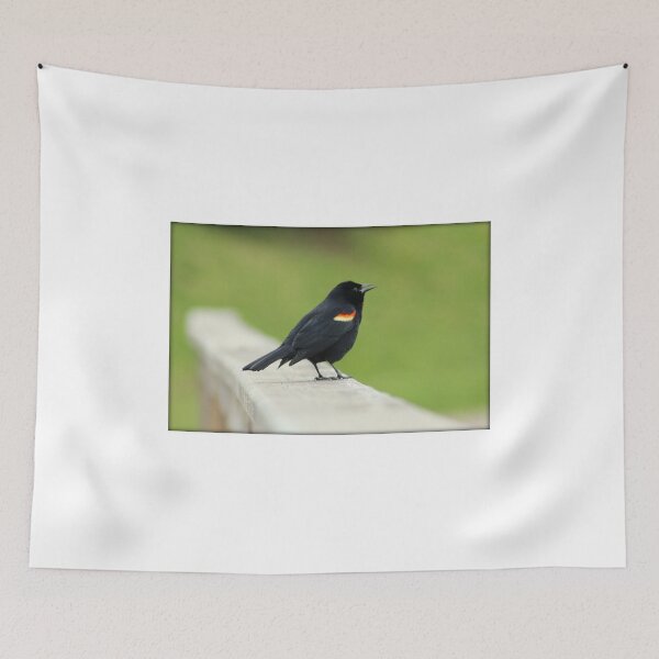 Item preview, Red Winged Blackbird designed and sold by anitahiltz.