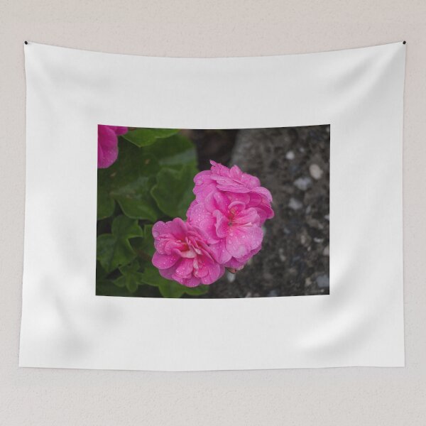 Item preview, Hot Pink Geranium after the rain designed and sold by RGKphotos.