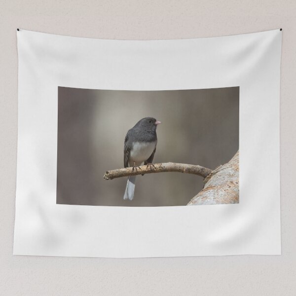Item preview, Dark-eyed Junco designed and sold by James Cumming.