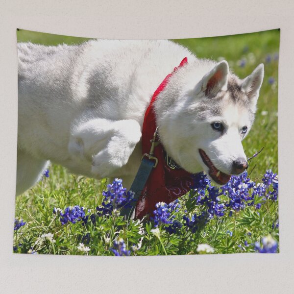 Item preview, Husky Tiptoeing Through the Blue Bonnets designed and sold by May Finch.