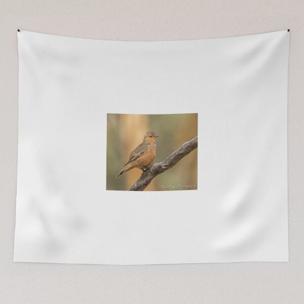 Item preview, Rufous treecreeper designed and sold by Rick Playle.