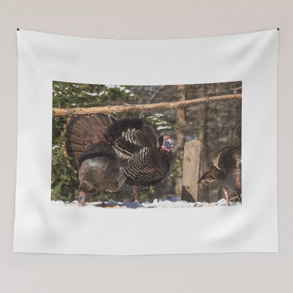 Item preview, Turkeys feeding on corn designed and sold by Josef Pittner.