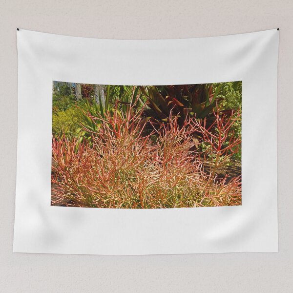 Item preview, Land Coral  designed and sold by Robert Meyers-Lussier.