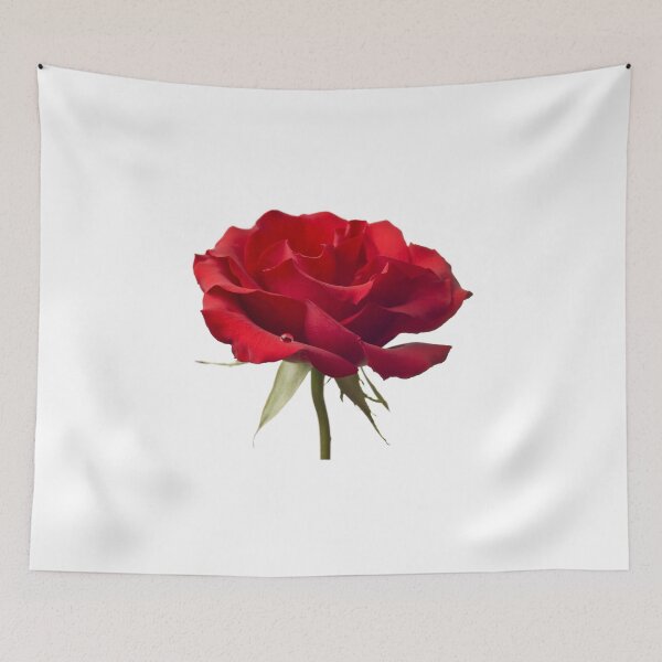 Item preview, Red Rose Flower Blossom Closeup Isolated on White Background designed and sold by SilverSpiral.