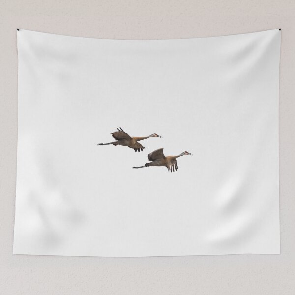 Item preview, Isolated Sandhill Cranes 2016-1 designed and sold by Thomasyoung.