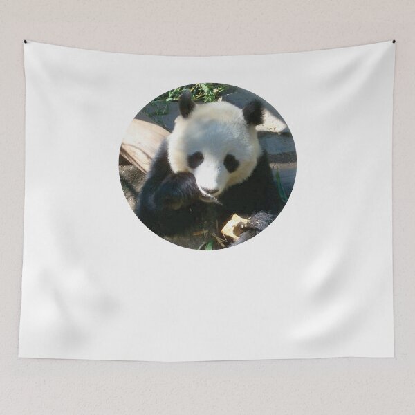 Item preview, Snacking Panda designed and sold by StudioN.