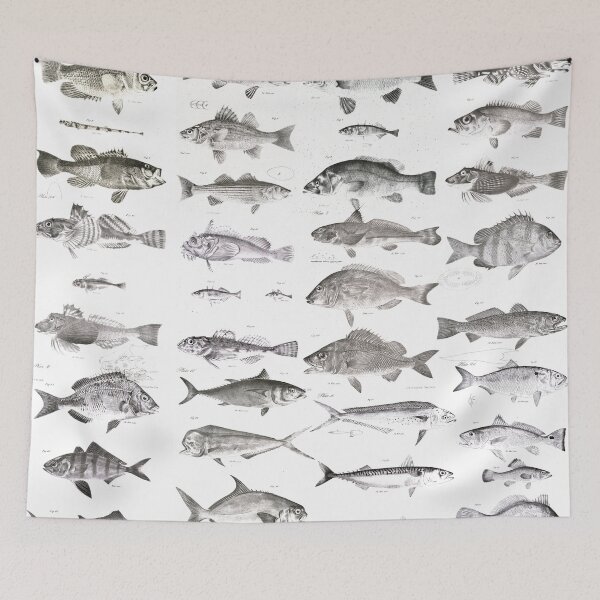 Item preview, Fish Collection designed and sold by rejon.