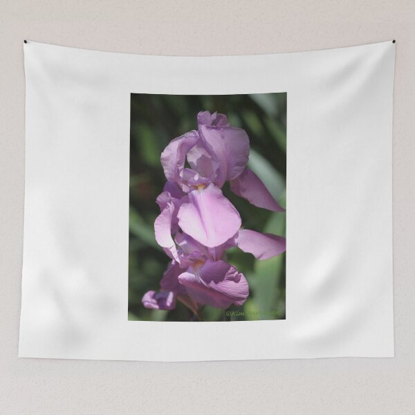 Item preview, Nature's Gems 5 Purple Iris designed and sold by KHartmann.