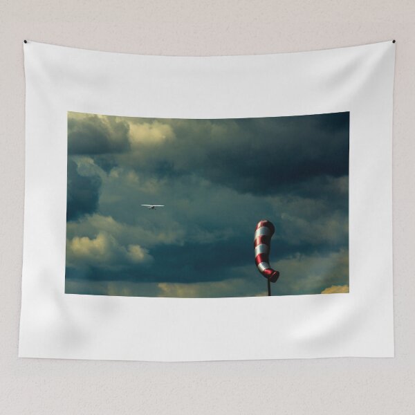 Item preview, Sport plane designed and sold by Srdjan Petrovic.